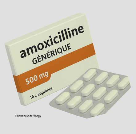 amoxicilline